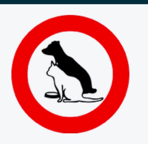 Dyrenes Værn logo